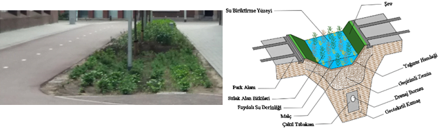 Kuresel Iklim Degisikligi Ve Sehirlerimizde Yesil Altyapi Cozumleri 2