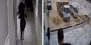 Balıkesir’de Maden Mühendisi Kadın Dehşeti Yaşadı; O Anlar Kamerada