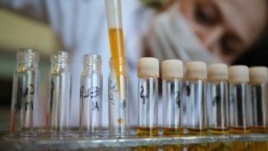 AB Programlarında Türk Araştırmacıların Etkinliği Artıyor