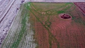 Prof. Dr. Göl; Acilen Su Kanununa İhtiyaç Var