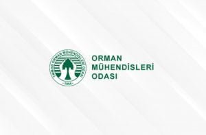 Orman Mühendisleri Odası’ndan Biden’a Soykırım Yanıtı