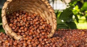 USMER Tarım Komisyonu Fındık Raporu