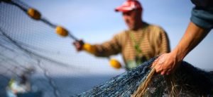 İç Sular da “İstilacı” Tehdidi Altında