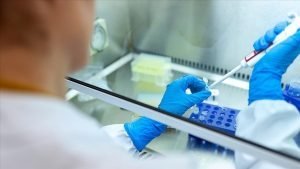 3 Üniversiteden Biyoteknoloji Alanında İş Birliği