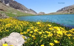 TMMOB JMO’dan Uluslararası Jeoçeşitlilik Günü Açıklaması