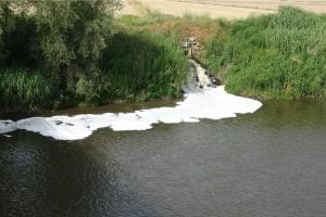 Büyük Menderes Nehri’nde Tedirgin Eden Kirlilik