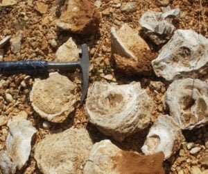 Söylenceler ve Yazılı Belgeler İzinde