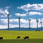 İngiltere’nin Rüzgar Enerjisi Üretimi Yüzde 715 Arttı