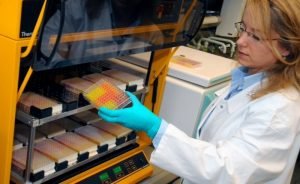 BASF Çin’deki Fabrikalarında Yenilenebilir Enerji Kullanacak