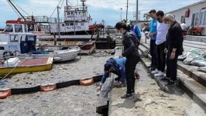 İstanbul Üniversitesi, müsilajı temizlemek için deniz bakterilerini kullanacak