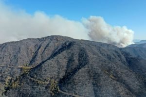 ZMO: Orman yangınlarının su kaynaklarına etkisi gözardı edilmesin