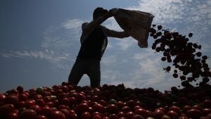 Çiftçilerden Cumhurbaşkanı’na çağrı: Milletin efendisiysek bizi kabul edin