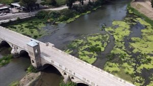 Kuraklık nedeniyle düşen debi ‘su mercimeği kolonileri’ne yol açtı