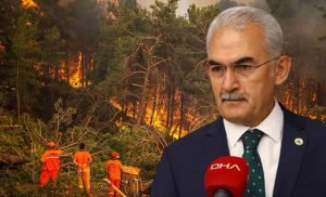 ‘Yanan alanları ağaçlandırma çalışmalarına sonbaharda başlayacağız’