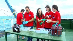Türk mühendislerinin müsilajla mücadelesi sürüyor