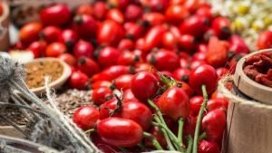 Kuşburnu için fizibilite raporu ve yatırımcı rehberi hazırlandı