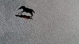 Suğla Gölü mevsimsel kuraklık nedeniyle zor günler yaşıyor