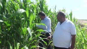 Çiftçiden elektrik faturasına tepki: Fabrika mı çalıştırıyorum