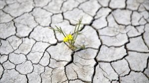 Yay Gölü’nde Eylül’de de kuraklık hakim