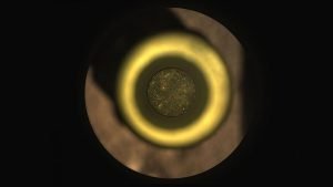 NASA’nın keşif aracı Mars’tan ilk kaya örneğini aldı