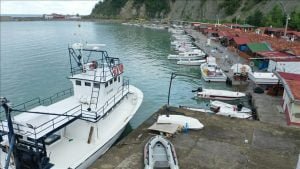 Bozkurt’taki balıkçılar selin etkisinden kurtulamadı