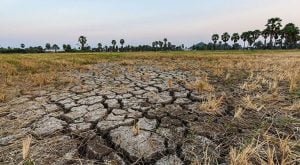 İklim değişikliğinin sağlık üzerindeki etkileri ‘hiç durmadan’ artıyor