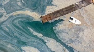 Müsilaj sorununa çözüm aranıyor