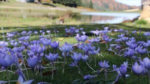 thumbs_b_c_6fb1ae18b3764d18076cdf4a8ee1cfb8