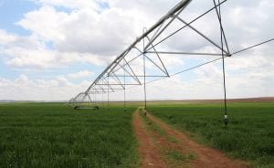 Tarım arazileri enerji tesislerine açılıyor