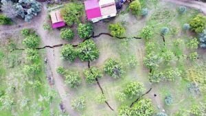 Aydın’daki çatlakların sebebi jeotermal kuyuları değil, küresel kuraklık