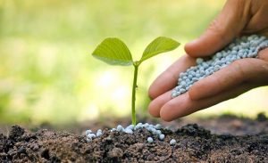 Ne olacak bu gübre fiyatları? DAP gübresine 1 haftada 600 lira zam geldi!