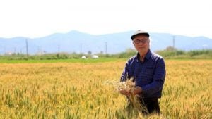 Milaslı çiftçiler ‘kara gün dostunu’ geri istiyor