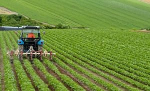 Kırsal kalkınma desteklerine erişim kolaylaştırıldı