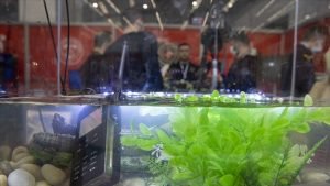 Jandarmanın ‘su altı telsizi’ akvaryumda tanıtıldı