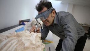 Milyon yıllık fosiller Kapadokya’nın geçmişine ışık tutacak