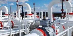 Doğalgaz krizine bakanlığın ‘çözümü’ nükleer ve Karadeniz oldu