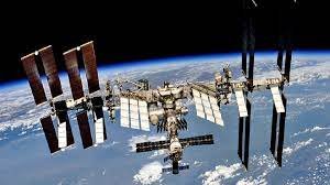 Uzay fareleri böbrek taşıyla ilgili bilinmeyenleri açığa çıkarabilir