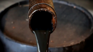 “Siirt hem yeraltı hem de yerüstü kaynakları açısından çok zengin”