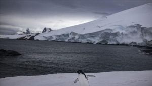 6. Ulusal Antarktika Bilim Seferi’ne katılan Prof. Dr. Külköylüoğlu: Kutup araştırmalarında Avrupa bazında söz sahibiyiz