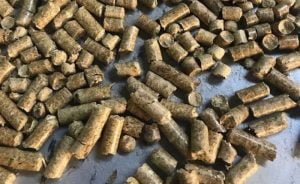 Bursa’da orman atıklarından pelet üretilecek