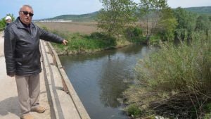 Gönen ve Susurluk çayları, Marmara’ya zehir taşıyor