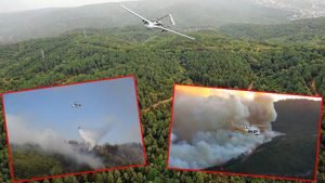 Orman yangınlarında hava müdahalesini ‘Havacılık Dairesi’ yönetecek