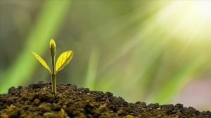 Türkiye Çevre Haftası ‘Sıfır Atık’ temasıyla kutlanacak