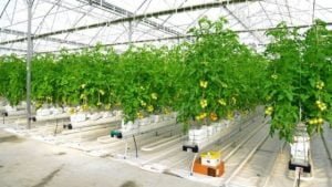 YENADER: jeotermal enerji tarımda verimi artırıyor