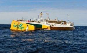 Finli Wello’nun dalga enerjisi teknolojisi Tayvan sularında