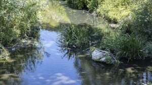 Ayazağa Deresi’nin kokusu ‘dayanılmaz’ oldu