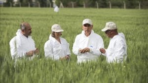 Tarım ve Orman Bakanı Kirişci buğday tarlasından mesaj verdi: Bu sene 19,5 milyon ton beklentimiz var