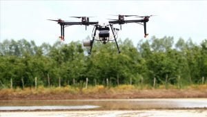 Samsun’da ZİHA ile çeltik ekimi yapılıyor