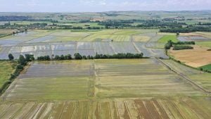 Türkiye’nin çeltik ambarında ekim mesaisi tamamlandı